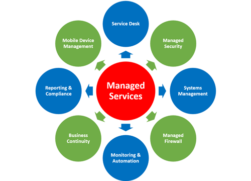 Co-Managed Services